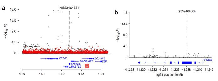 Figure 2. Regional association plot illustrating the CHADL locus. (Styrkarsdottir et al., 2017)