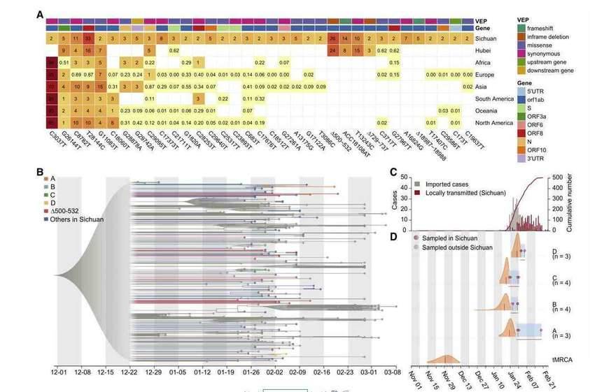 Whole Virus Genome Sequencing in Screening New Drugs