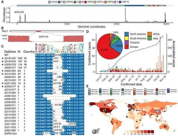 Compositions of different species in the control and miscarriage groups by LEfSe analyses