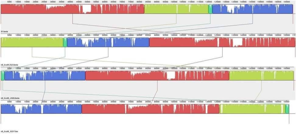 Compositions of different species in the control and miscarriage groups by LEfSe analyses