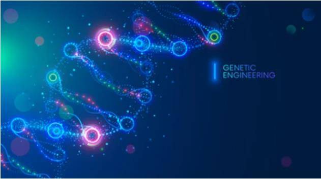 A Guideline of Genetic Map Construction for Different Populations