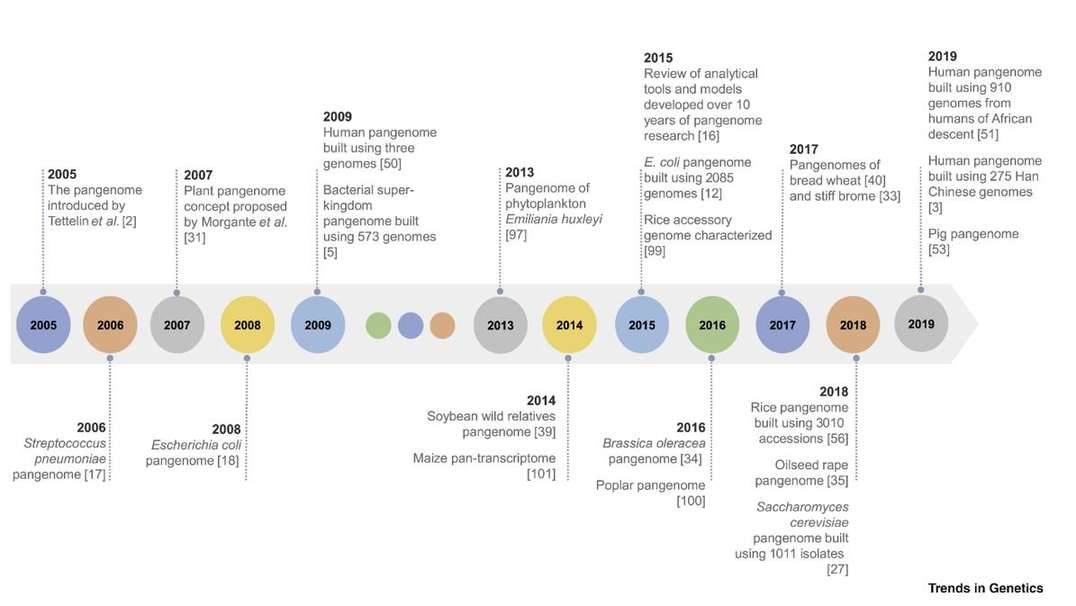 Pangenomics comes of age: from bacteria to plant and animal applications.