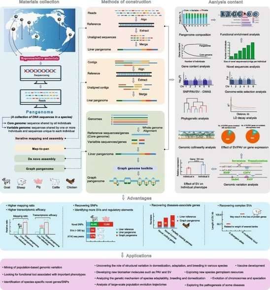 Pangenomics comes of age: from bacteria to plant and animal applications.