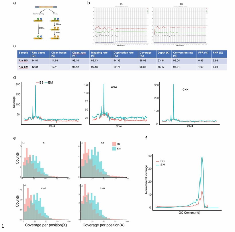 The quality control of the EM - seq and BS - seq (as reported by Wang et al. in 2022)