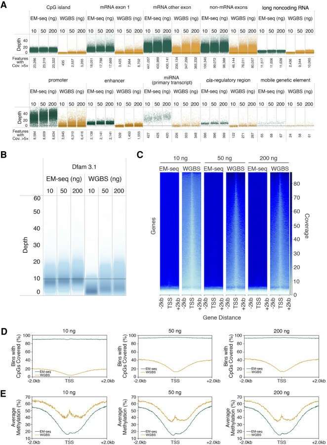 Cytosine methylation at key genomic features (Vaisvila et al., 2021)