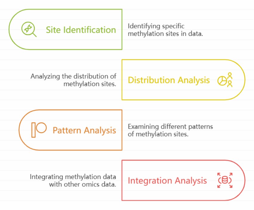 EM-seq data analysis