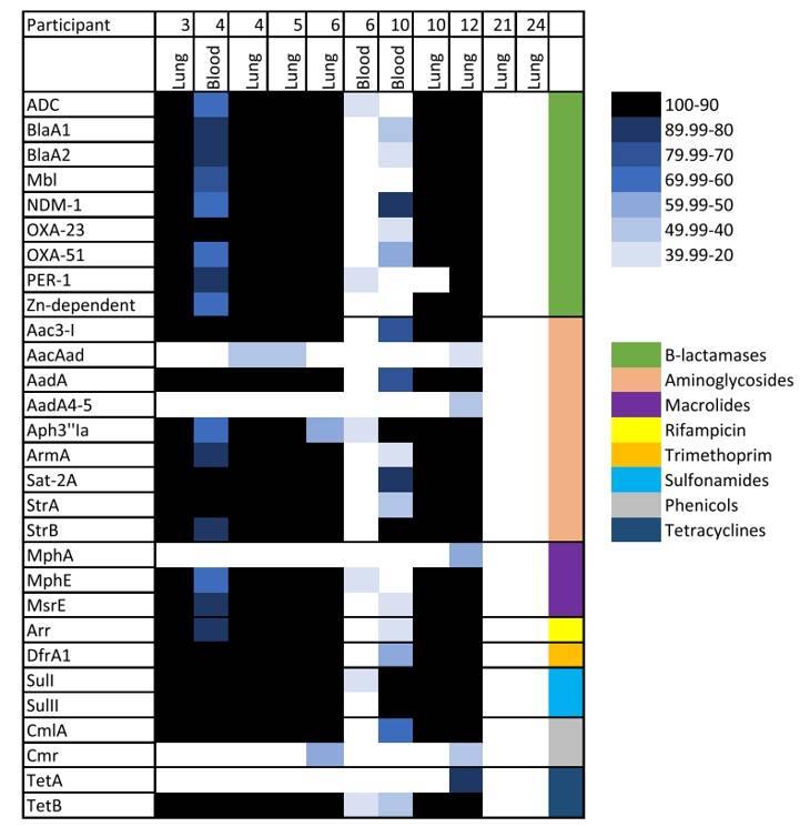 Antimicrobial resistance (AMR) genes in samples from neonates that died of infectious diseases using DNA libraries.