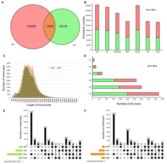 Gene function annotation and gene structure analysis of Lolium multiflorum