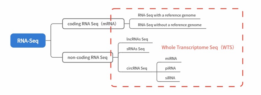 Classification of RNA-Seq technologies