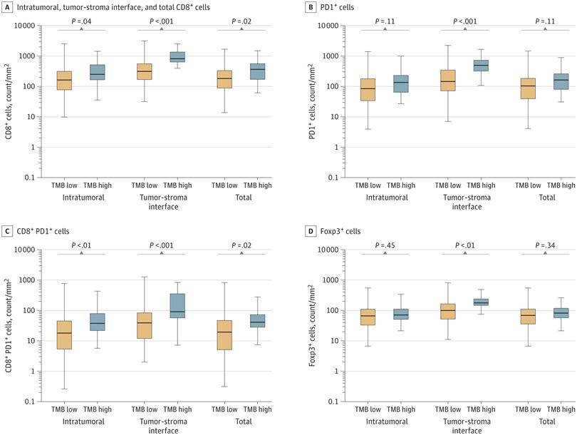 Data are from patients in the Dana-Farber Cancer Institute cohort, including 384 patients with low tumor mutation burden (TMB) and 44 patients with high TMB.