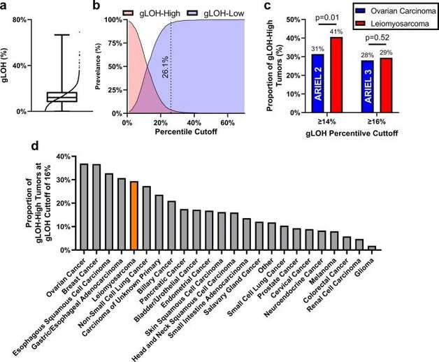 Distribution of gLOH in LMS.