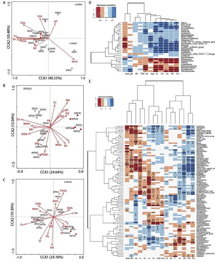 Fig 1. CCA illustrating the relationship between environmental factors and bacterial communities at the species level. Heatmap depicting Spearman’s rank correlation between bacterial genera and chemical characteristics in sediment (D) and seawater (E) samples. (Hongxia et al., 2021)