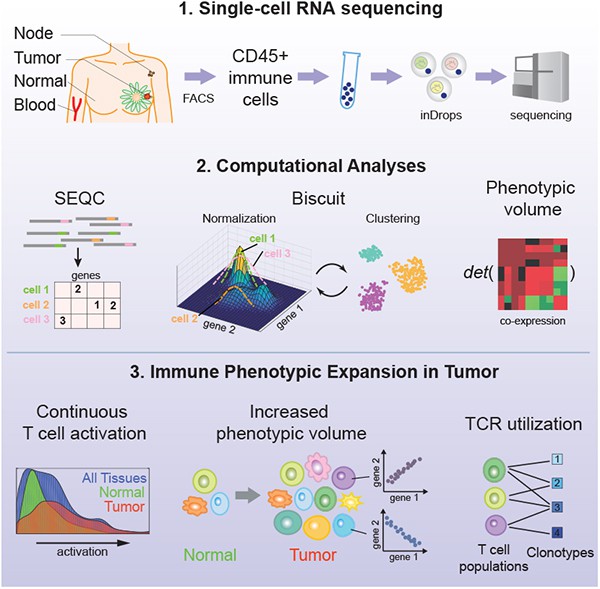 Single-cell Map of Breast Tumor Microenvironment.