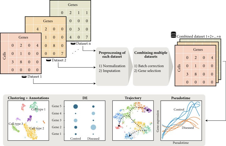 Overview of single-cell data analysis workflow.