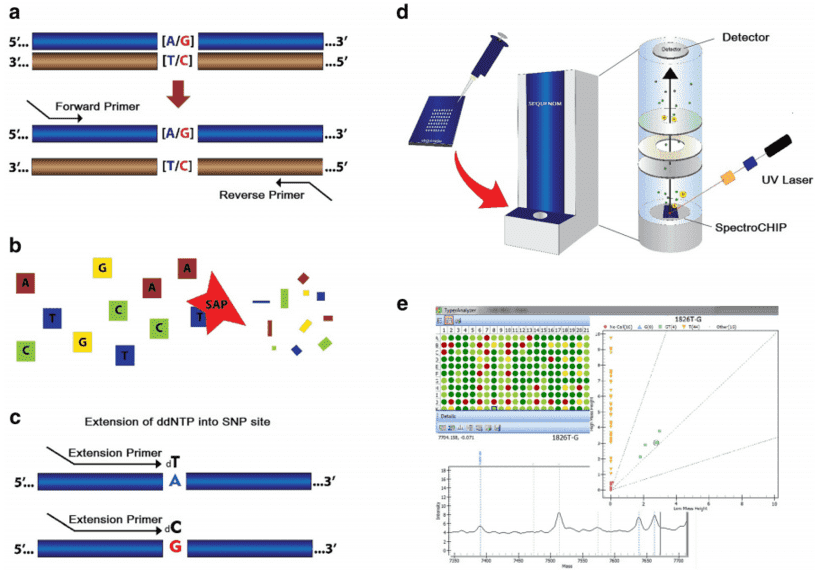 An Overview of SNP Genotyping Technologies