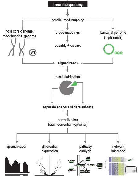 Generic Pipeline of Dual RNA-seq Data Analysis