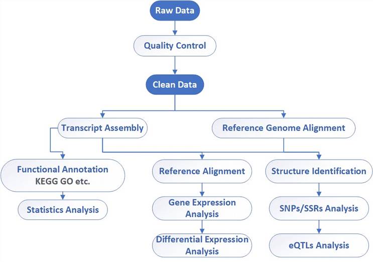 mitochondrial-dna-mtdna-sequencing-1-1