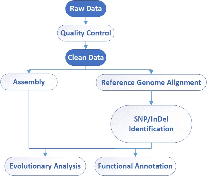 analysis-pipeline-viral-genome-sequencing