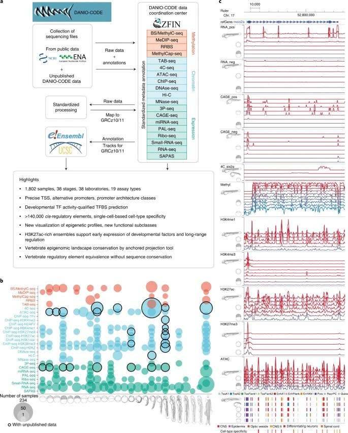 Annotation of Regulatory Elements within the Zebrafish Genome