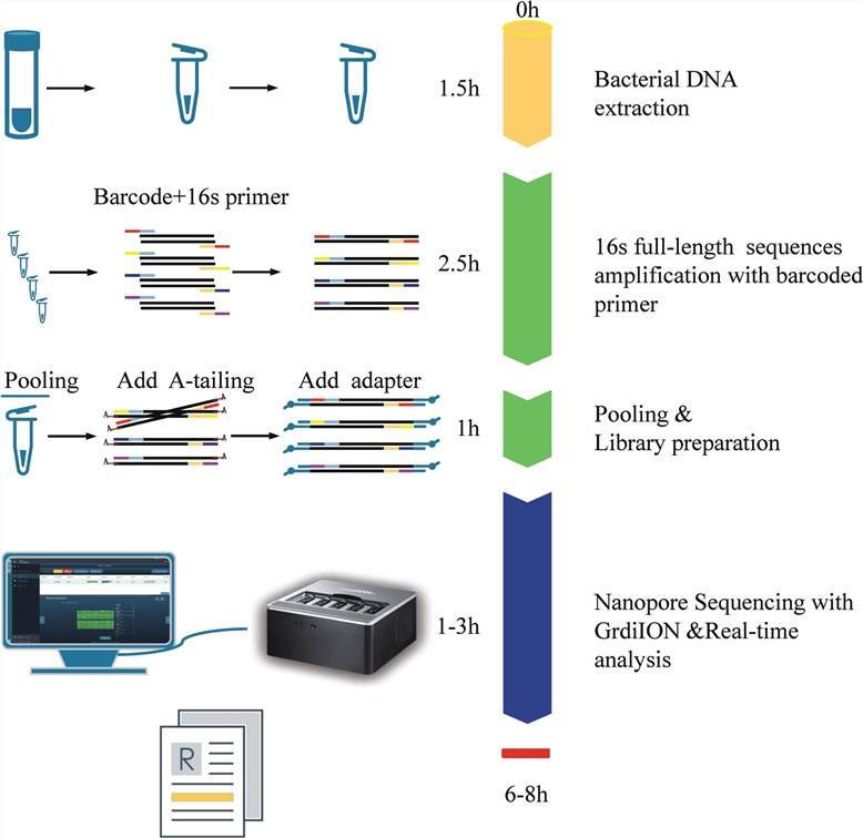 Application of nanopore sequencing technology