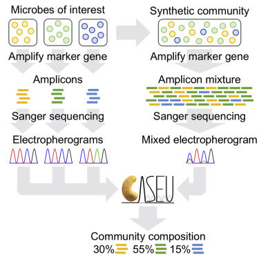 Bacterial Community Composition by Sanger Sequencing