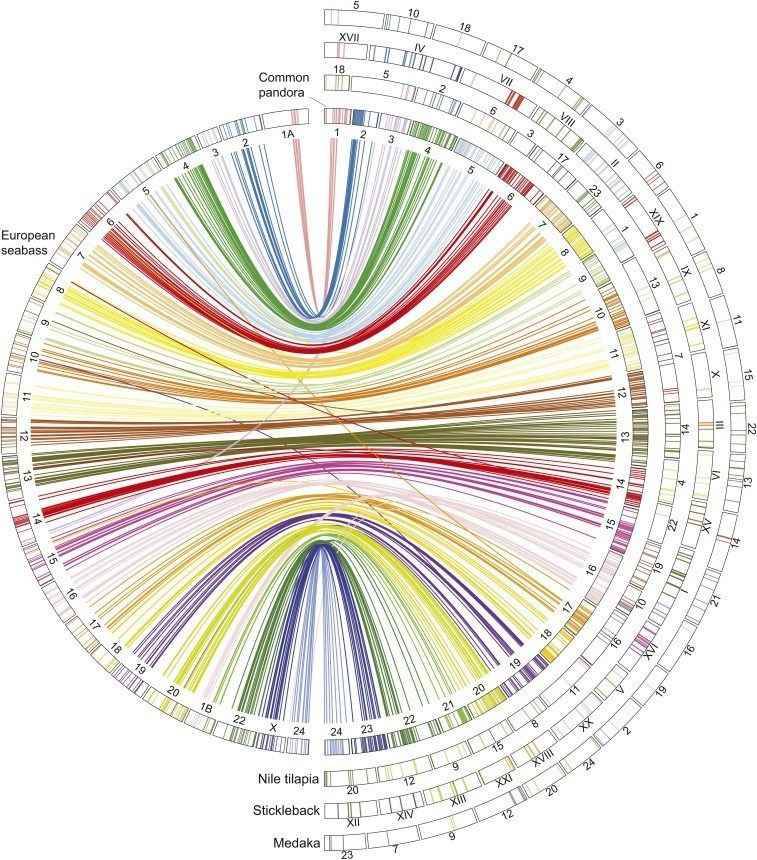 Application of RAD Sequencing Technology