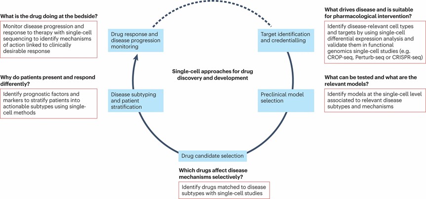 Figure 1.scRNA-seq application in drug discovery decision making