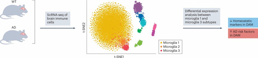 Figure 3.scRNA-seq insights in disease mechanisms