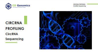 CircRNA Sequencing of EBV- and KSHV-infected Tumor Cells