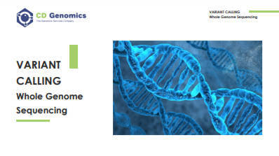 Customer Case: Whole Genome Sequencing of Vir-1 Mutant of Arbidopsis