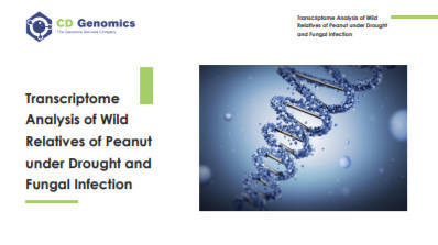 Customer Case: Transcriptome Analysis of Wild Relatives of Peanut under Drought and Fungal Infection