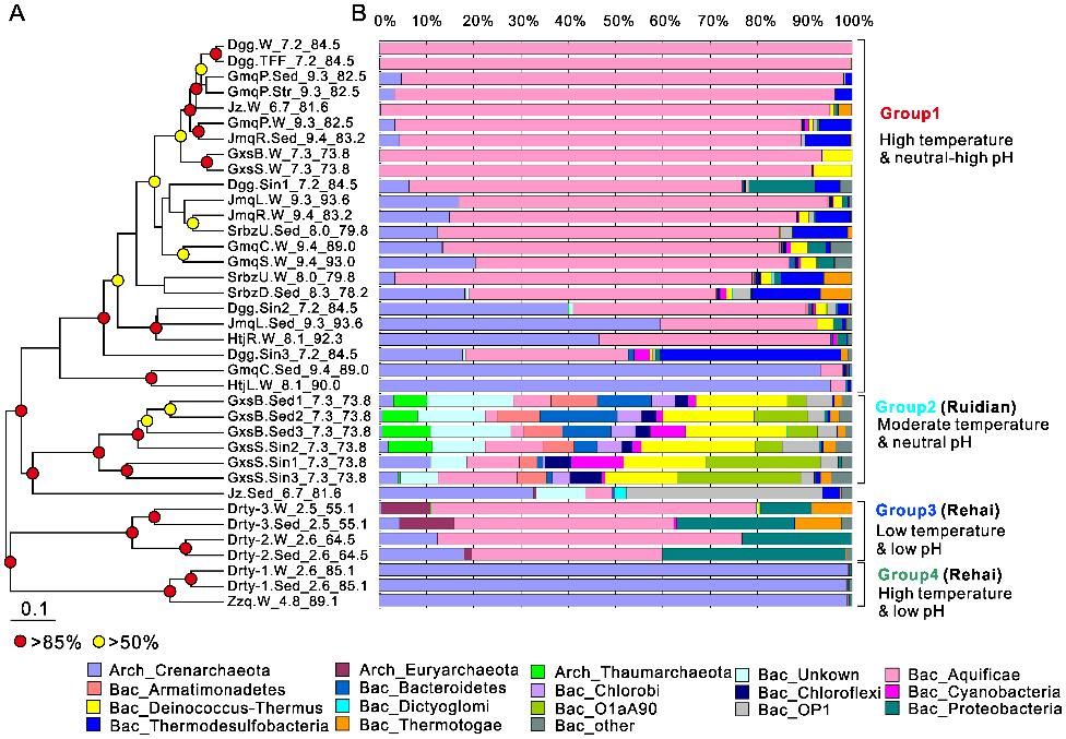 Applications of 16S rRNA Sequencing