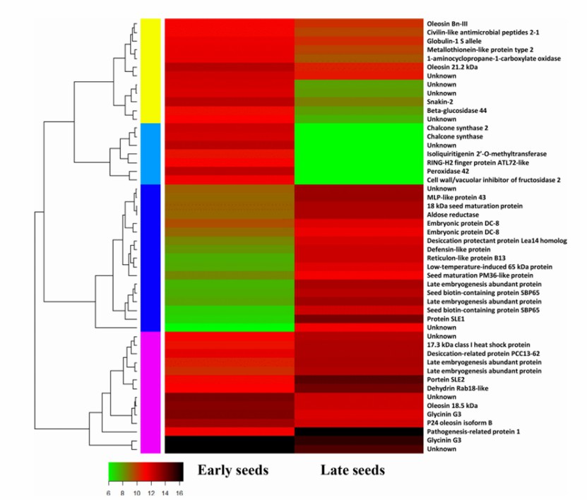Heat map results of 50 differentially expressed genes between two different stages in S. tora (Kang et al., 2020)