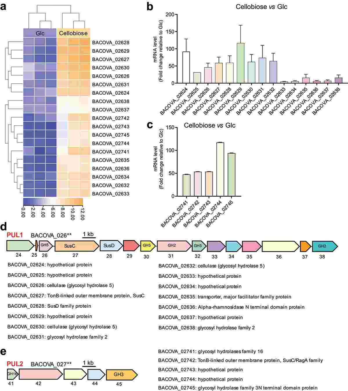 Figure 1. Identification of Polysaccharide Utilization Loci (PULs) via RNA-seq and Validation by RT-qPCR. (Li et al., 2023)