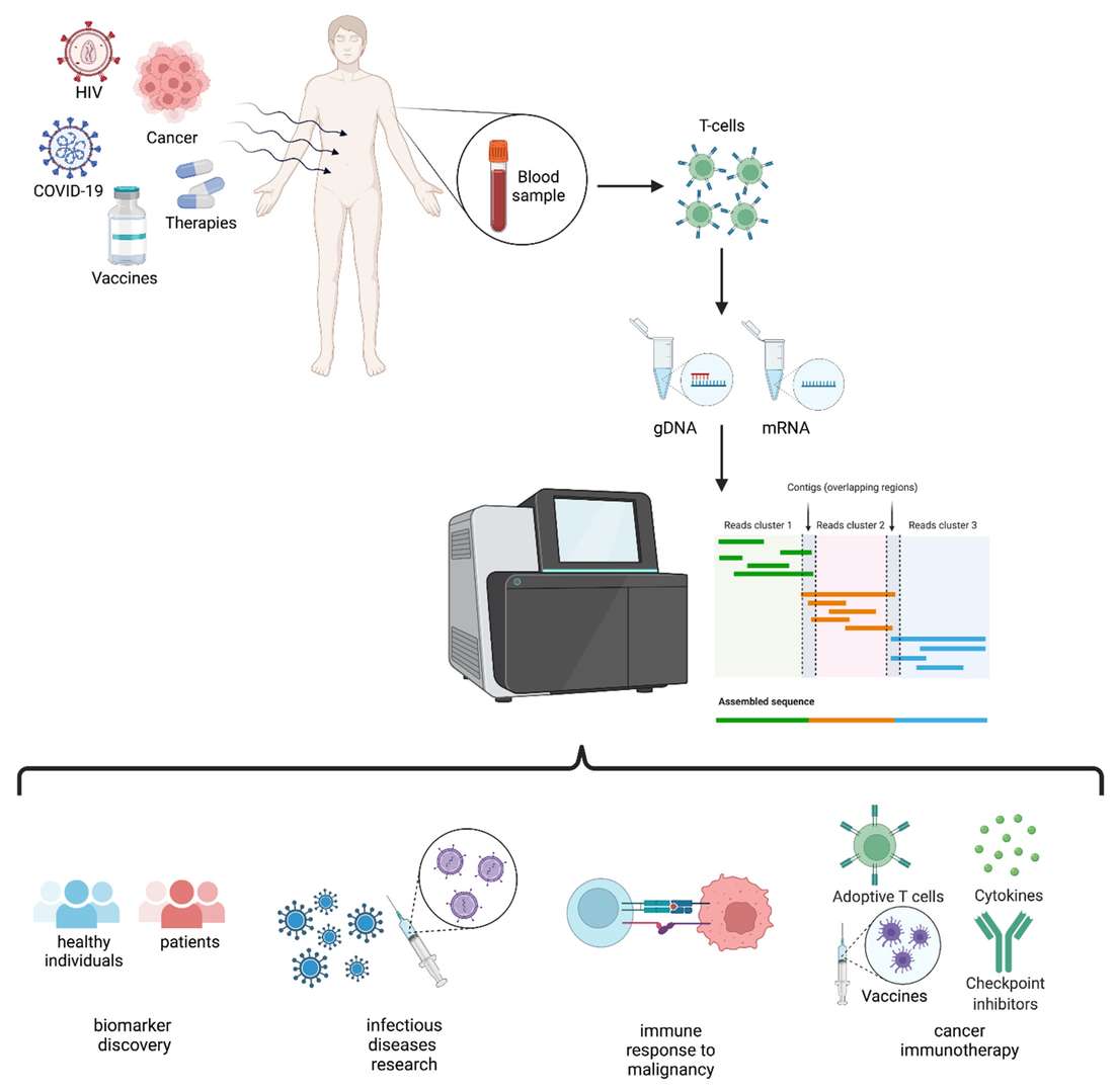 TCR repertoire analysis and its applications visual.
