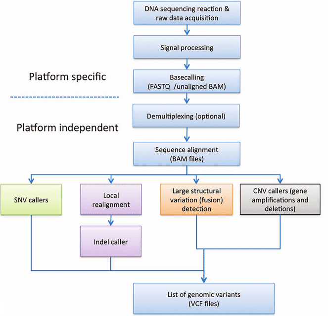 bioinformatics services