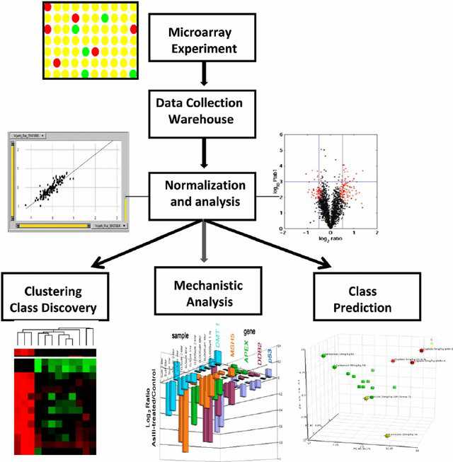 bioinformaticsservices