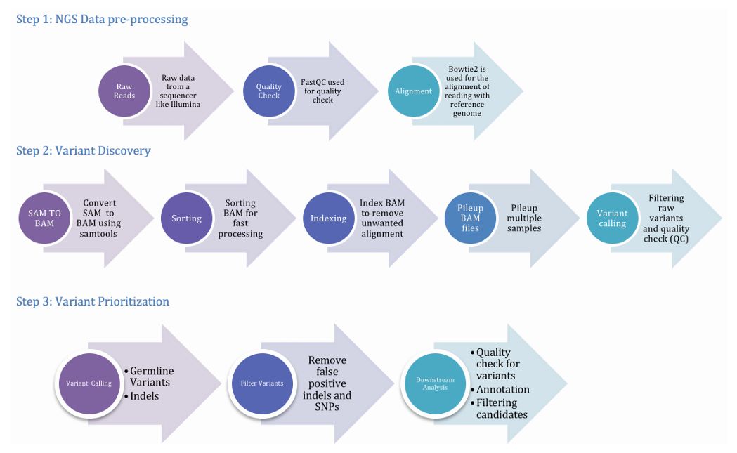 The pipeline involving three important phases, viz. preprocessing, variant discovery and prioritization of variants. (Meena et al., 2017)