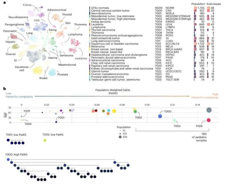 Building a Comprehensive Atlas of Pediatric Cancer with Transcriptomic Data