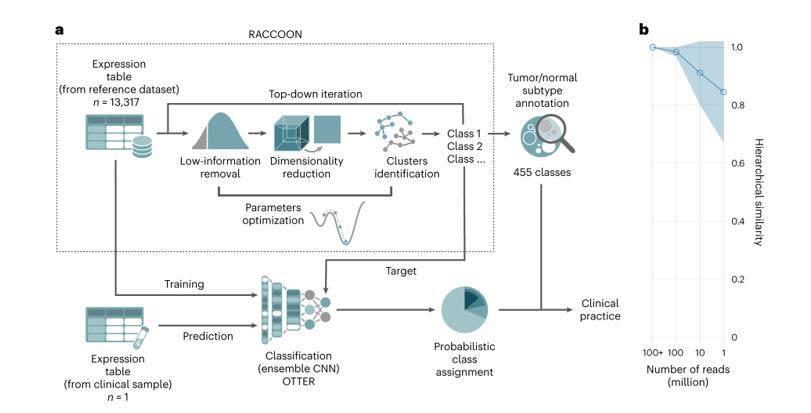 RNA-seq tumor subtype identification protocol.