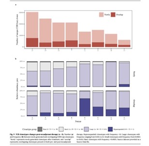 RNA immuno-repertoire library construction process.