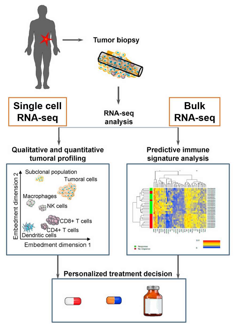 RNA sequencing in cancer immunology applications