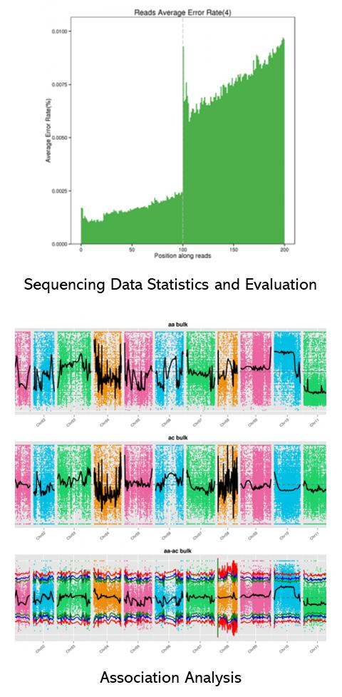 The BSA-seq Results Display Figure.