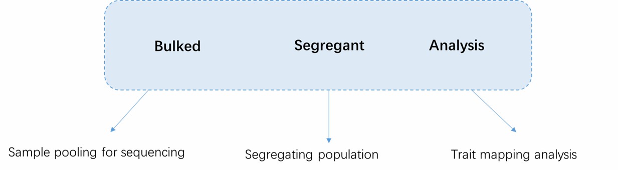 Overview of BSA Concepts.