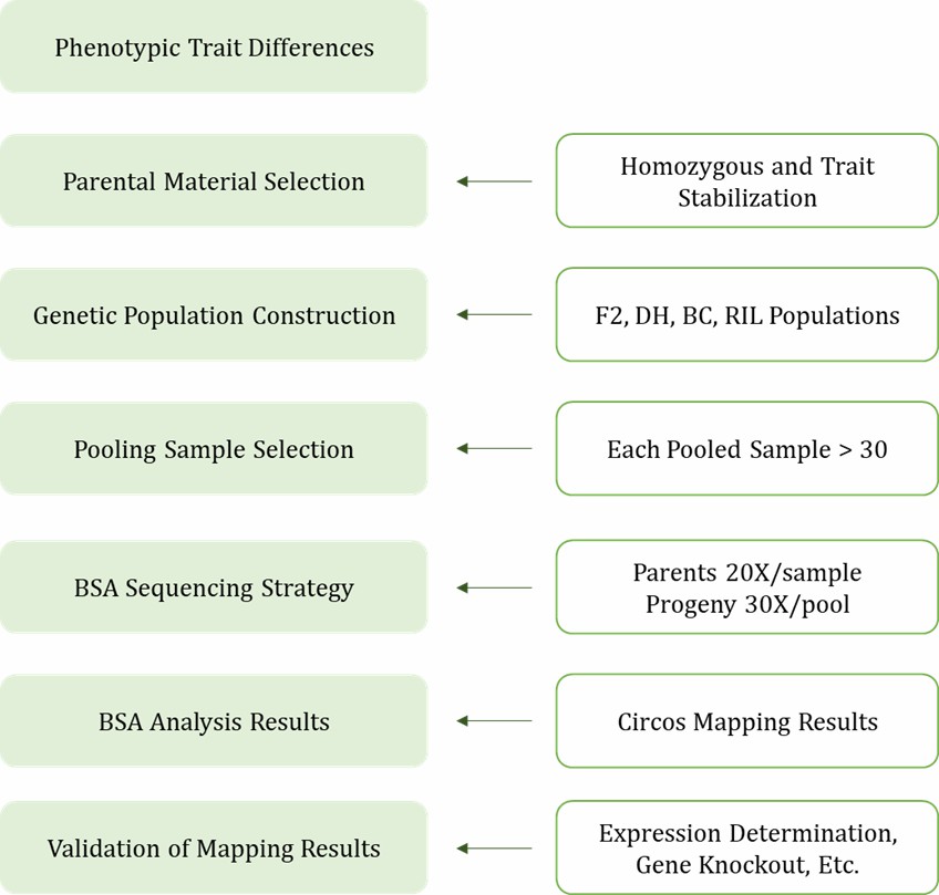 BSA Process Flowchart.