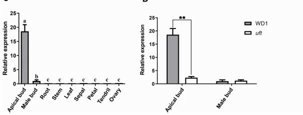 Analysis of Candidate Gene Structure, Conservation, and Expression.