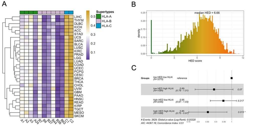 HLA Supertypes and Heterozygosity.