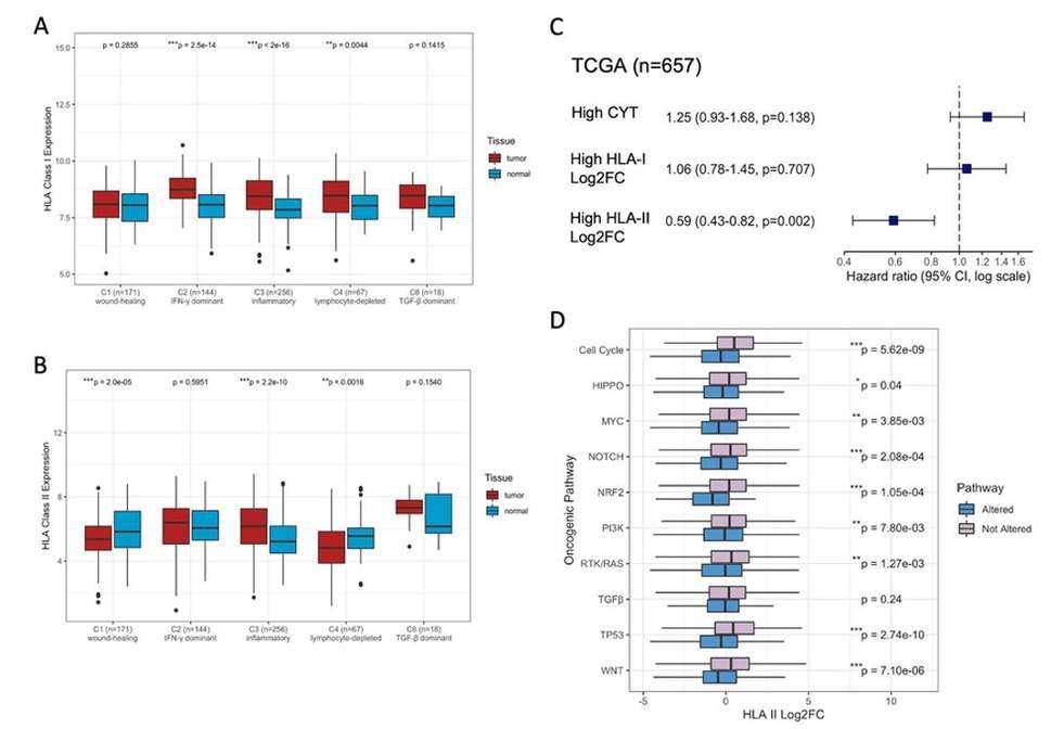 HLA Differential Expression Associated with Immune Subtypes and Oncogenic Pathways.