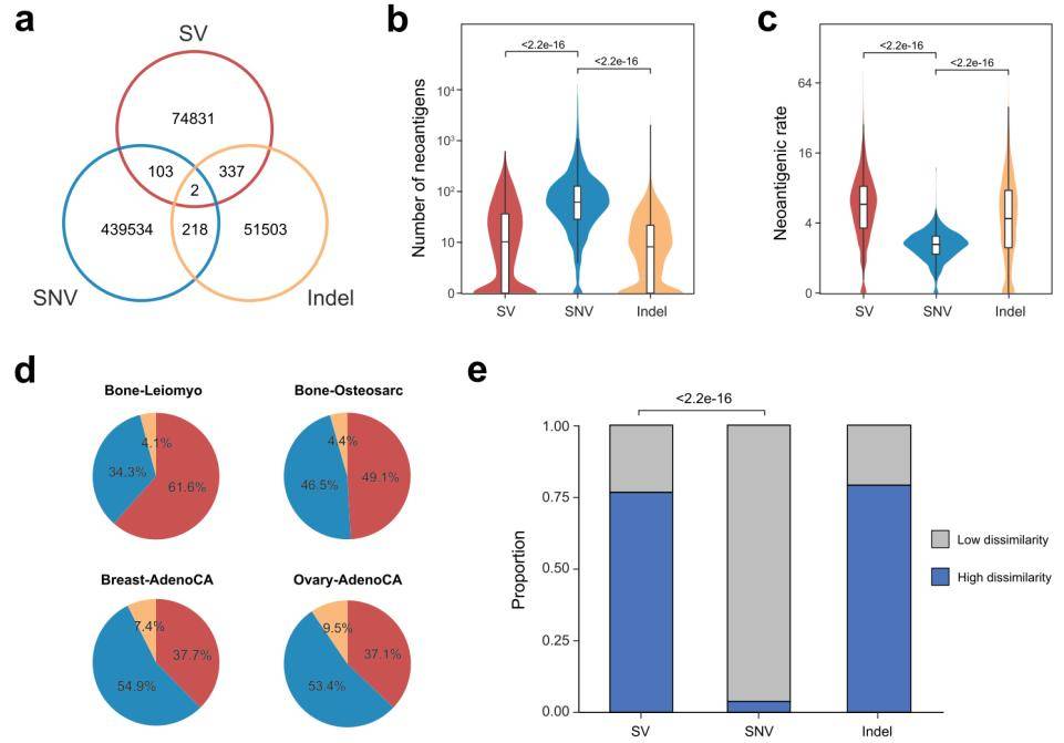 SV-derived neoantigens across 2528 tumors.