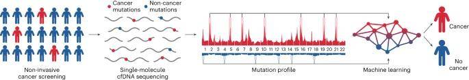 Workflow diagram for metagenomic analysis of viruses